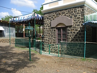 IMG_1252.jpg