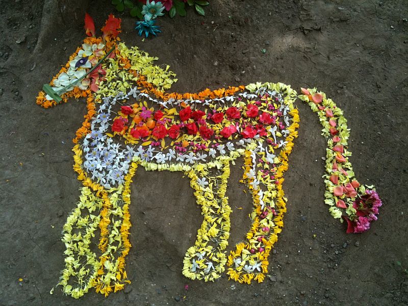 flower_horse_meheras_tree_156.jpg
