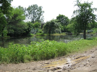 Muddy ditch